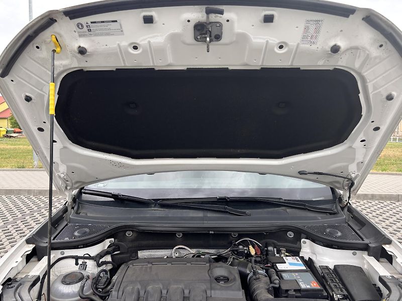 Seat Ateca (2019) 2.0 TDI 110 KW, 4X4, DSG, EXC - fotka 10 z 18