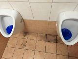 U Orlenu na D10 u Radonic jsou sice toalety zdarma, ale jejich návštěva člověka přímo nenadchne.