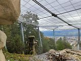 Kouzlo podzimu v Alpách. Tyrolsko hraje všemi barvami: Innsbruck, Muttereralm, Leutascher Geisterklamm, Swarovski Kristallwelten ve fotogalerii Deníku