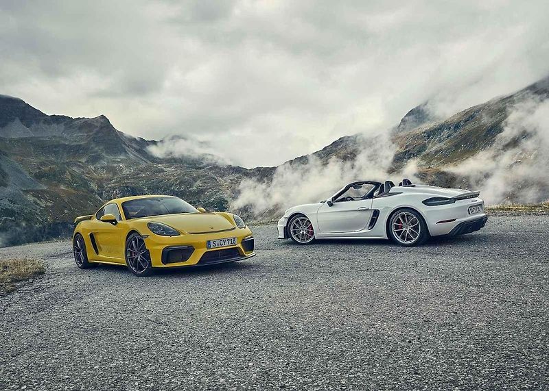 Porsche 911 Speedster