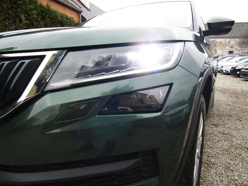 Škoda Kodiaq (2020) 2.0 TDI 110kW DSG ACC - fotka 13 z 43