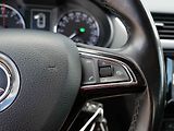 Škoda Octavia (2016) 1.4 TSi, ČR, Style, DSG - náhled 13