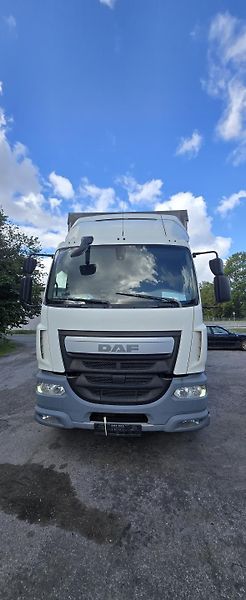 DAF LF (2016) Daf LF 310 - fotka 1 z 12