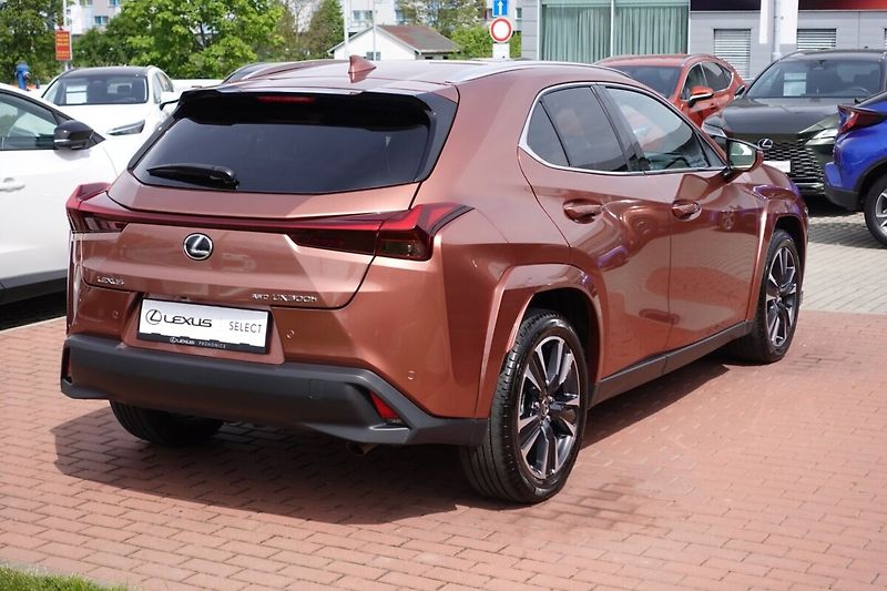 Lexus UX 300h UX300h Luxury 4x4 - fotka 5 z 38