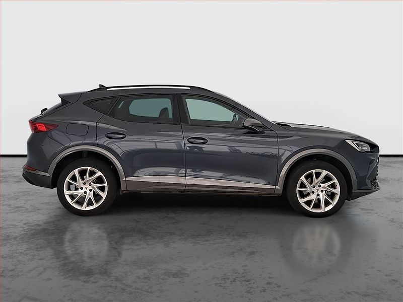 Cupra Formentor (2024) 2.0 TSI 4Drive - fotka 6 z 21