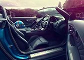 Jaguar Project 7