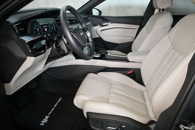 Audi e-tron 55 300kW Ventilace Matrix 360 - fotka 12 z 48