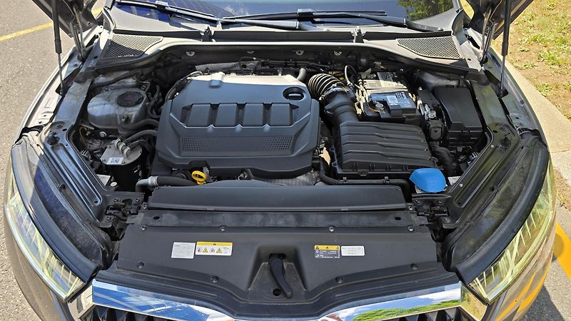 Škoda Octavia (2022) 2.0 TDI Scout 4x4, Webasto - fotka 17 z 17