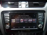 Škoda Octavia (2014) 2.0TDi, DSG, navi, bixen - náhled 16