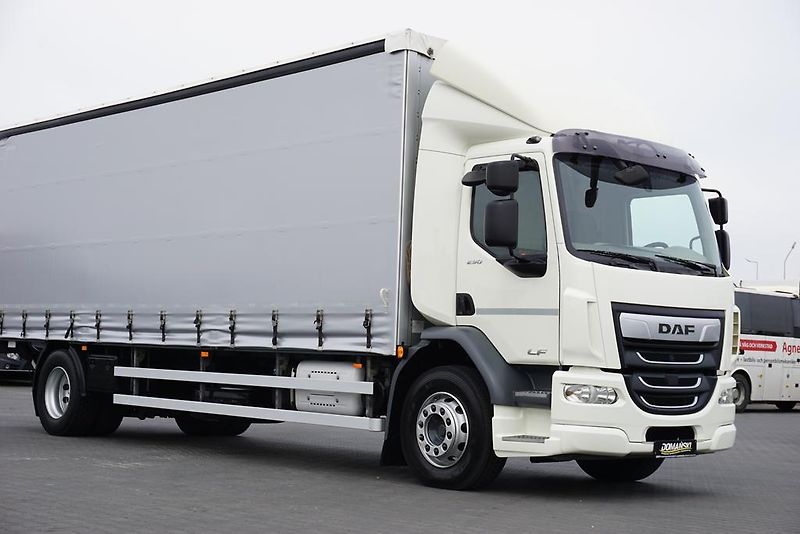 DAF LF (2019) 290 / E 6 / FIRANKA + WINDA /  - fotka 28 z 44