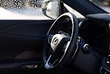 Lexus RX 450h plus 450H+ 2,5 PHEV EXECUTIVE PLUS - náhled 15