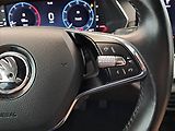 Škoda Octavia (2021) Ambition Plus 2.0 TDI, ČR - náhled 17