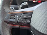 Cupra Formentor 2,0 TSi DSG 4x4 Matrix Tažné Z - náhled 19