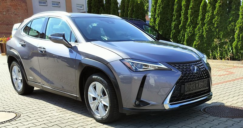 Lexus UX 250h BUSINESS edition,alcantara - fotka 1 z 24