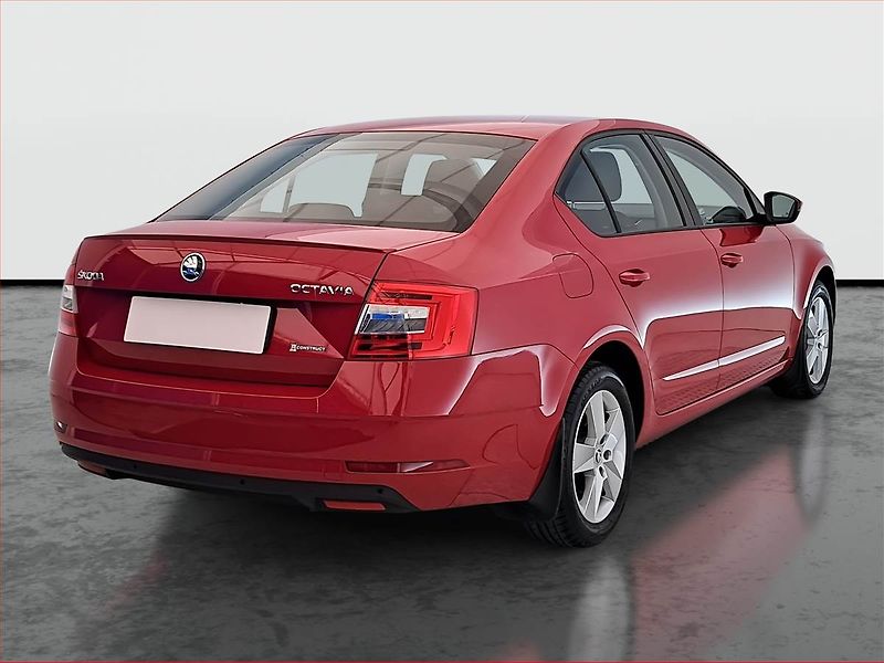 Škoda Octavia (2019) Ambition 1.5 TSI, ČR,1.maj - fotka 5 z 16