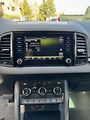 Škoda Karoq DRIVE 125 Years 1.6 TDI 85 kW - náhled 12