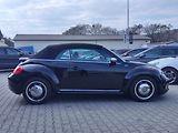 Volkswagen New Beetle 1.6 TDI/77kW Cabrio - náhled 6