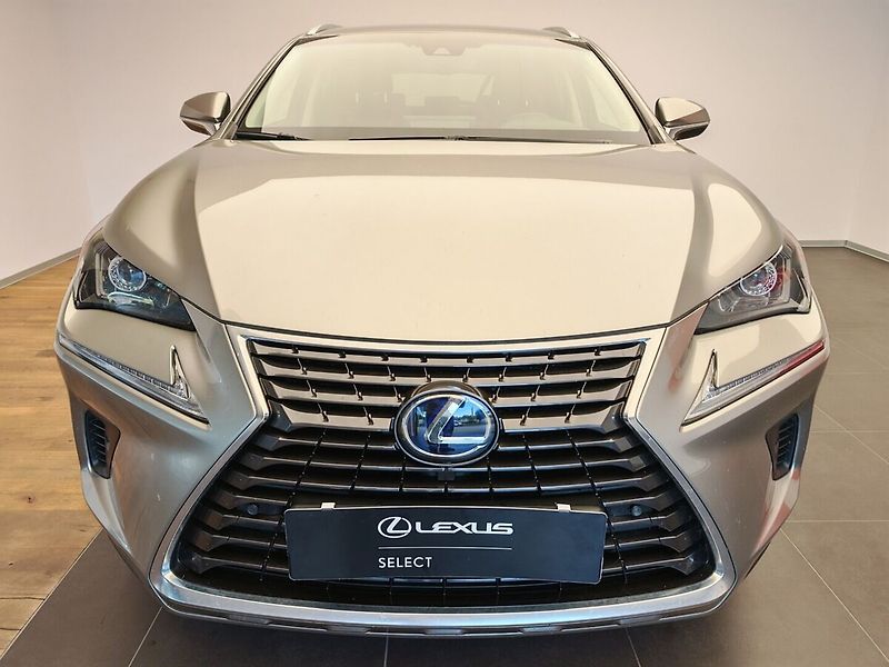 Lexus NX 300h 300h AWD PRESTIEGE SAFETY - fotka 2 z 43