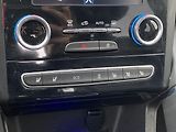 Renault Koleos (2019) 2.0 dCi 4WD, Initiale Paris - náhled 17