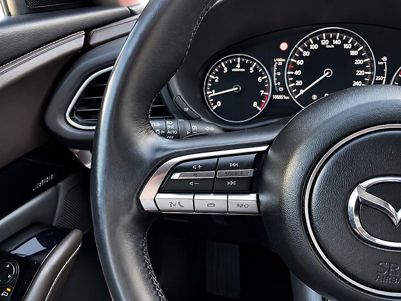 Mazda CX-30 (2021) 2.0 SKYACTIV-G 110 kW COSMO - fotka 13 z 32