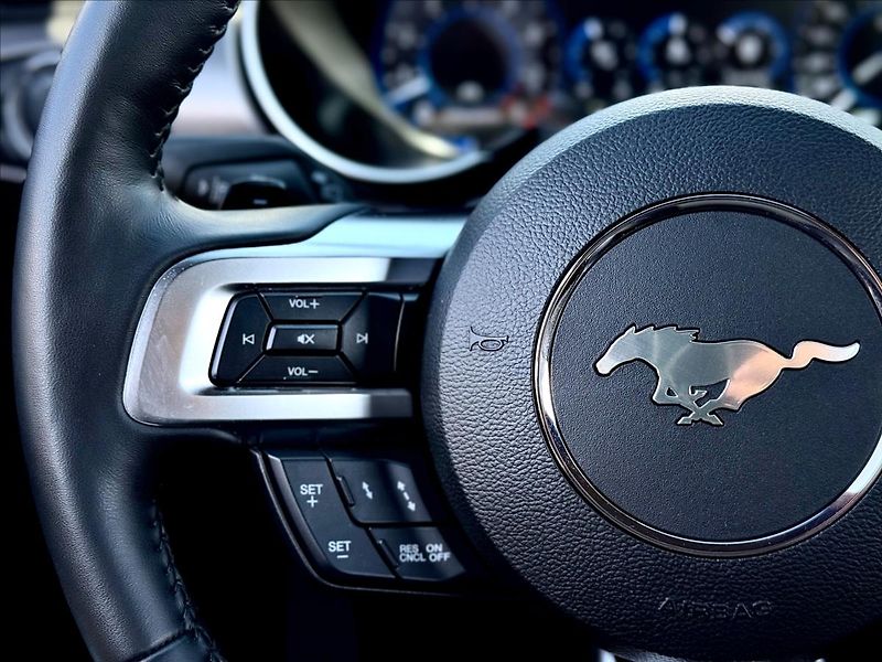 Ford Mustang 5,0 GT V8 330kW 55YearsEdition - fotka 19 z 36