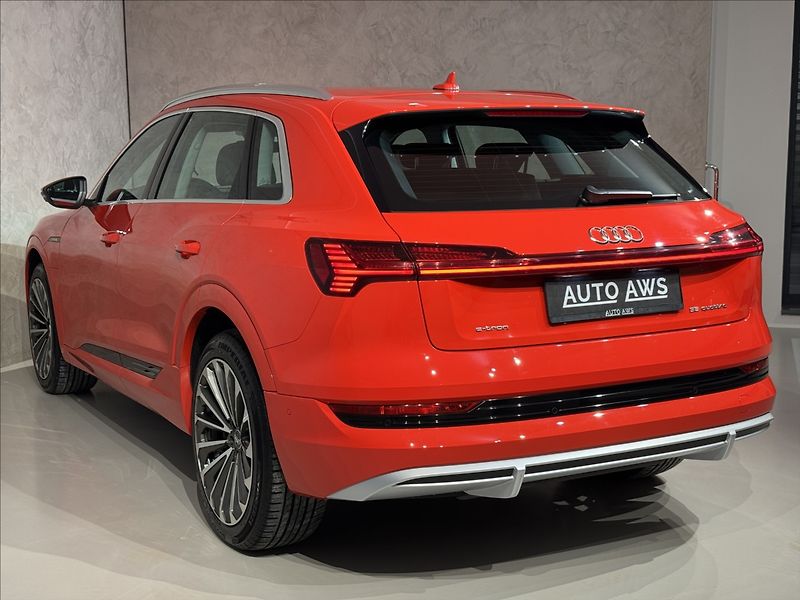 Audi e-tron 300kW S-Line Night Vision - fotka 10 z 48