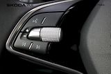 Škoda Scala (2024) 1.0 TSI 85 kW Selection - náhled 12