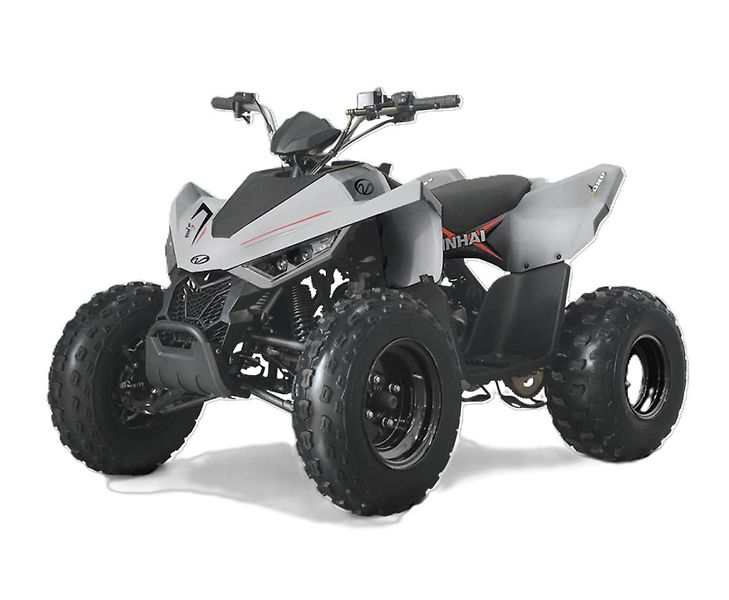 Linhai (2026) ATV 110 - fotka 3 z 8