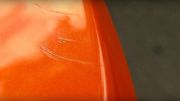 Oslík si možná oranžový McLaren spletl s mrkví...