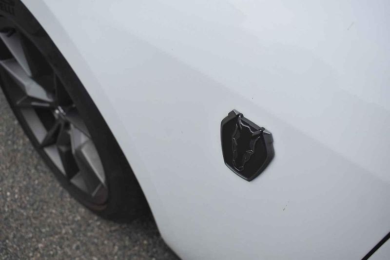 Tento Ford Mustang byl ve výkonnější verzi Dark Horse.