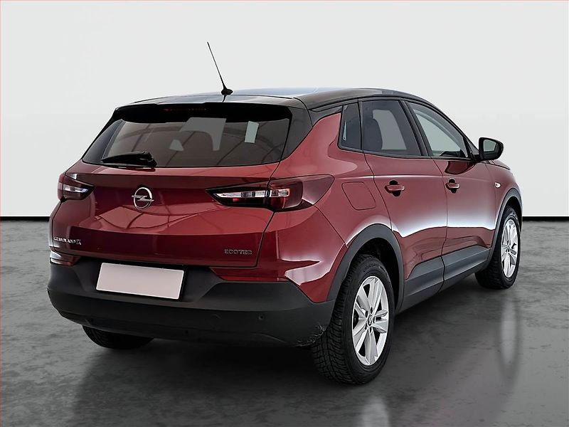 Opel Grandland X (2020) 1.2 Turbo, ČR,1.maj, Tempomat - fotka 5 z 18