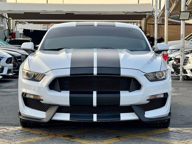 Ford Mustang (2017) Pro milovníky Ameriky - fotka 2 z 16