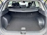 Kia Sportage 1,6 TGDi Exclusive NAVI ZÁRUKA - náhled 13
