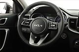 Kia Ceed (2025) 1.5 T-GDI, Navigace - náhled 12