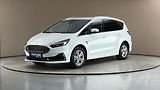 Ford S-MAX 2.0 Ecoblue AUT AWD Titanium - náhled 1