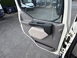 DAF LF (2017) 55.260*18tT*145TKM*CHARVÁT CTS - náhled 30