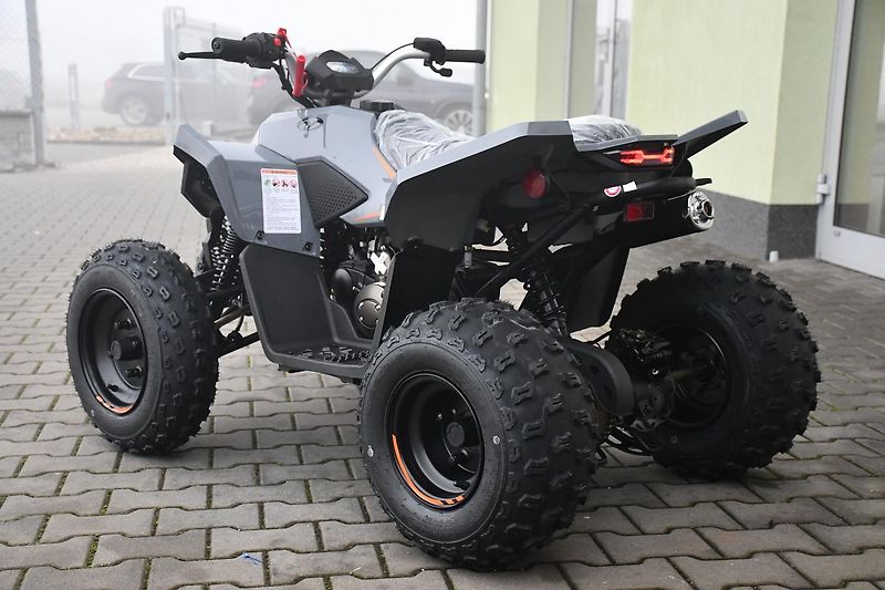 Linhai Ostatní (2026) ATV 110 2X4 EFI CE  - fotka 3 z 14