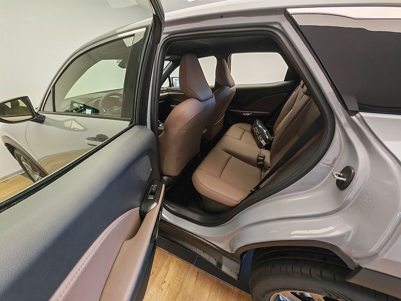 Lexus LBX ELEGANT TECH - fotka 31 z 39