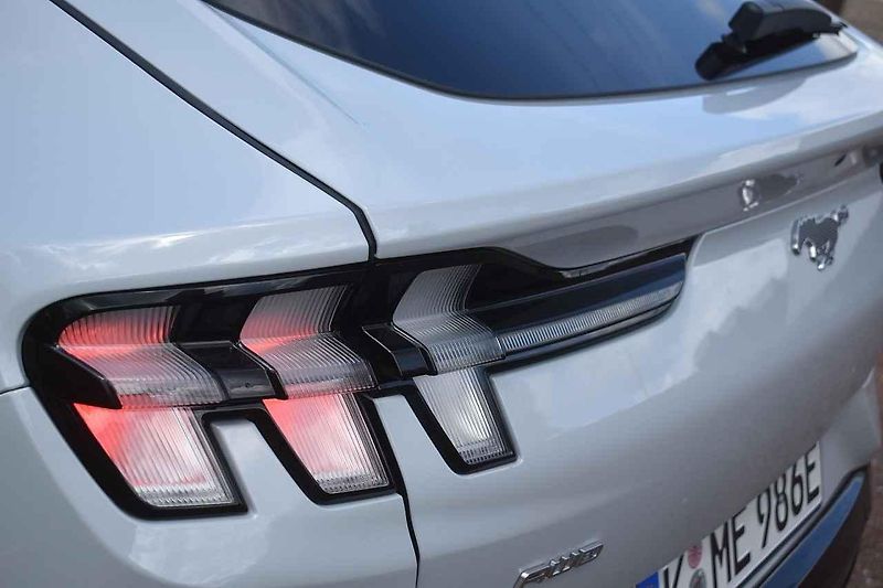 Mustang jsme ukázali i koním chovaným na farmě