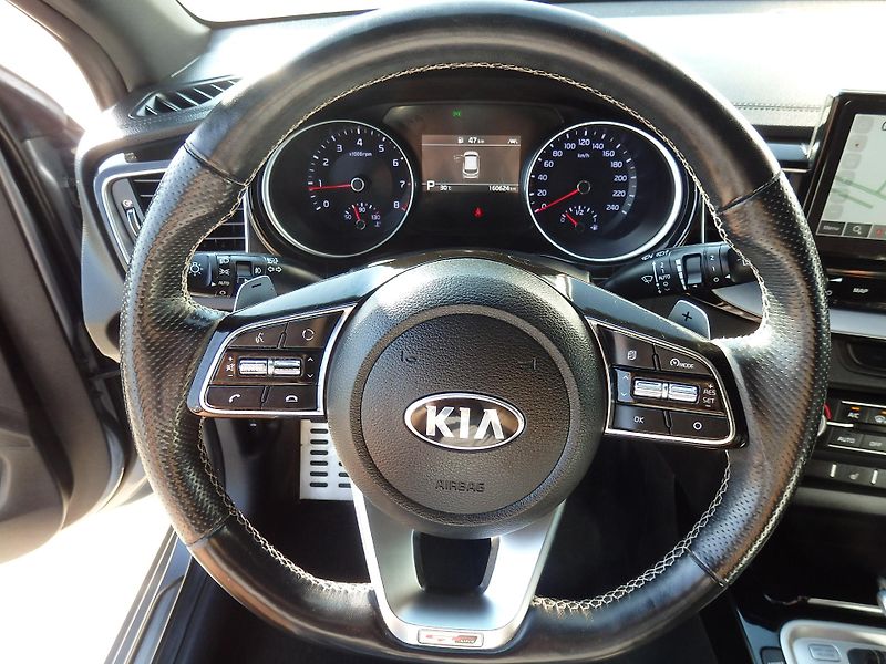 Kia ProCeed 1.5 T-GDI ZÁLOHOVÁNO - fotka 13 z 19
