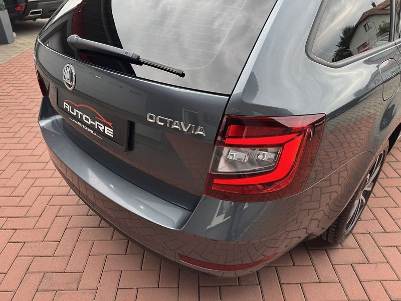 Škoda Octavia (2020) 2.0TDi DSG LED Navi Kamera - fotka 38 z 46