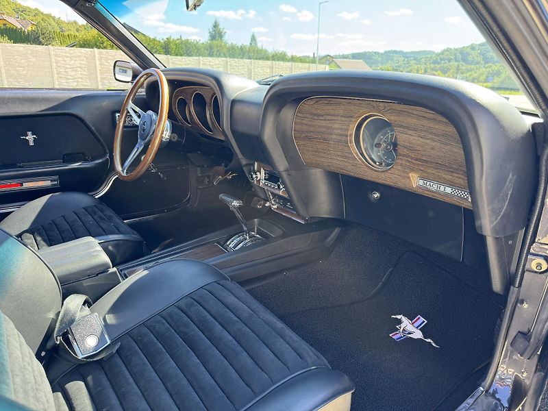 Ford Mustang V8 347cui - fotka 27 z 43