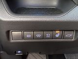 Toyota RAV4 2.5HSD, ČR, Executive, 4x4 - náhled 17