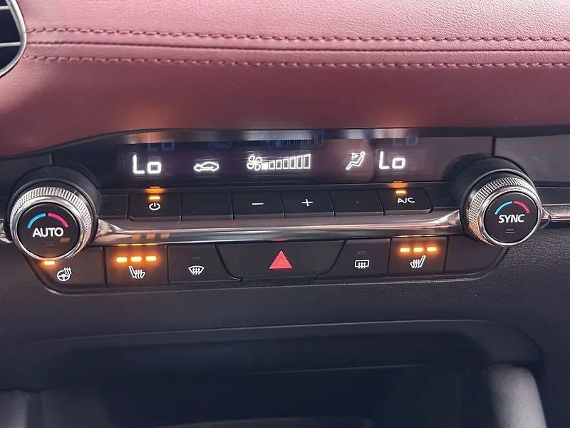 Mazda 3 2.0 e-SkyActiv-X 137kW LUXURY  - fotka 10 z 13