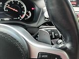 BMW X3 3,0 xDrive30d Mpaket,ČR,PANO, - náhled 40