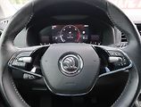 Škoda Karoq (2023) Ambition 2.0 TDI - náhled 16