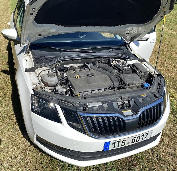 Škoda Octavia (2019) - fotka 12 z 14