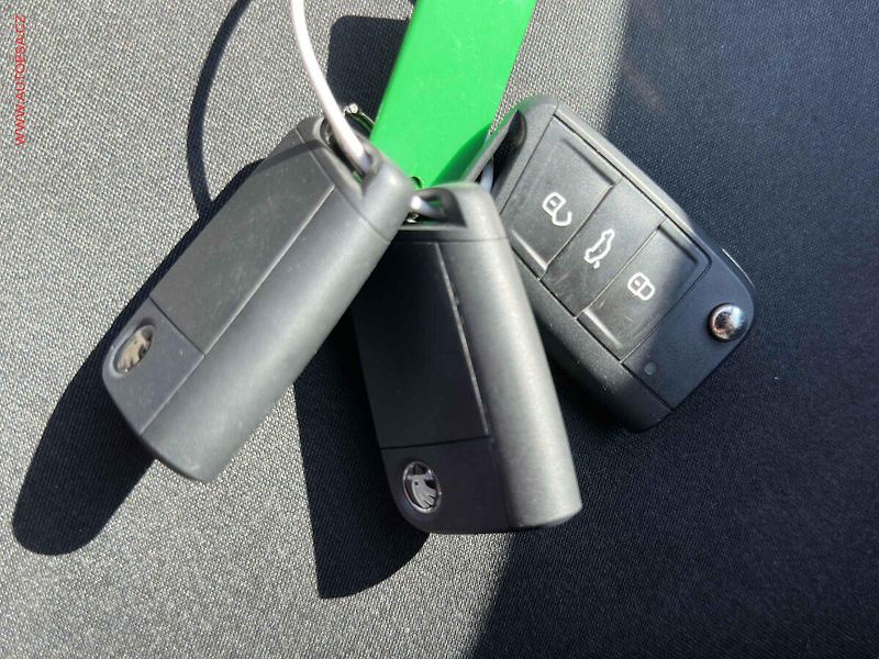 Škoda Octavia (2020) 2.0 TDi 4X4, 2.maj, RS, DSG - fotka 19 z 19