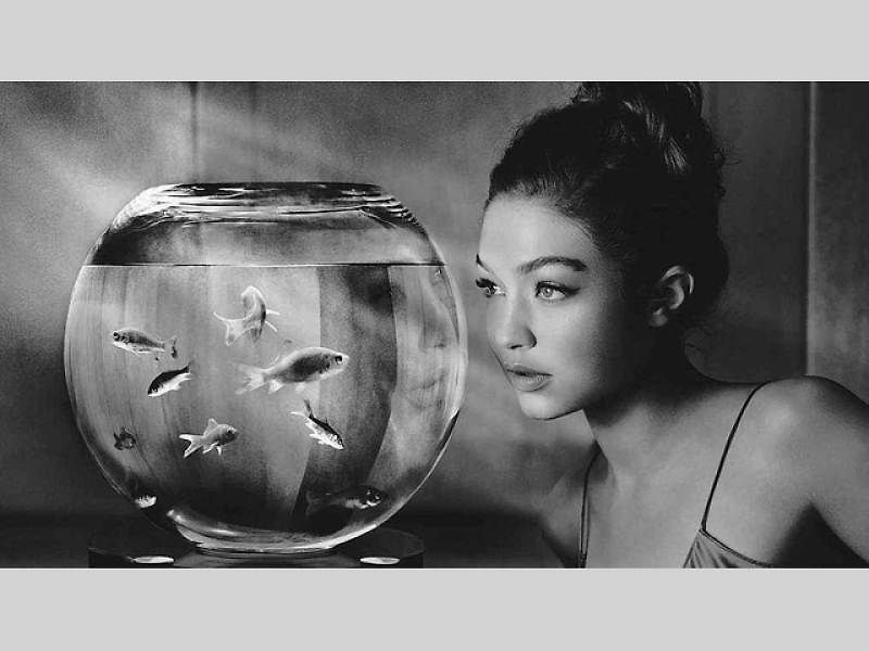 Ashley Graham - Aktivistka
