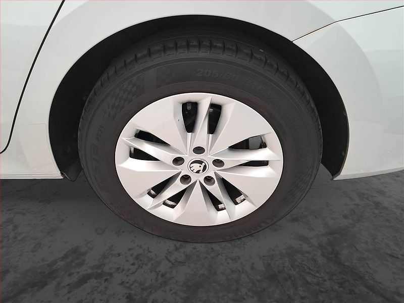 Škoda Octavia (2023) Ambition 2.0 TDI - fotka 15 z 17
